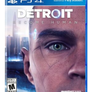 Detroit Become Human PS4 (seminovo)